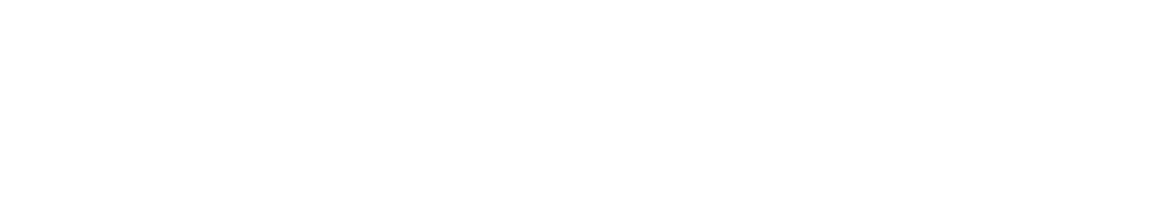 PVision