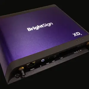 Brightsign XD236