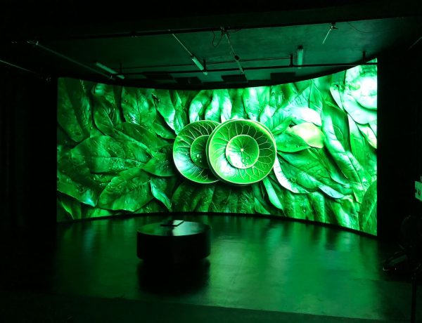 WhatsApp Image 2025-09-17 at 15.04.52_ec526c2d